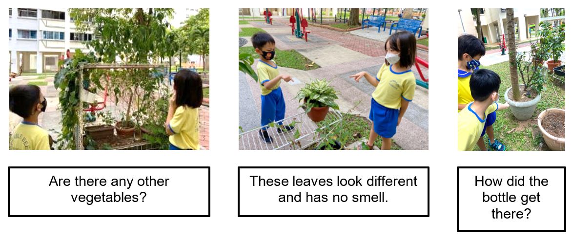 Children query.JPG